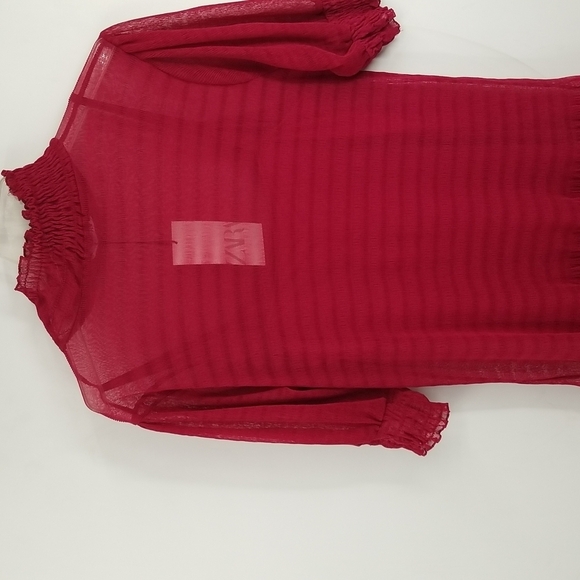 Zara Cranberry Dropped Waist Sheer Overlay Dress with Slip - Picture 11 of 13